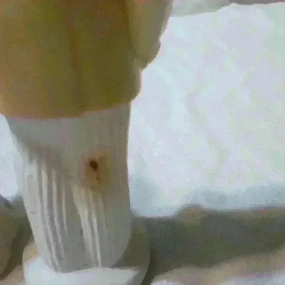 Avon 1970 vintage Bridal Moment. Bride & Groom. Sweet Honesty Cologne Bottles. - Picture 4 of 4